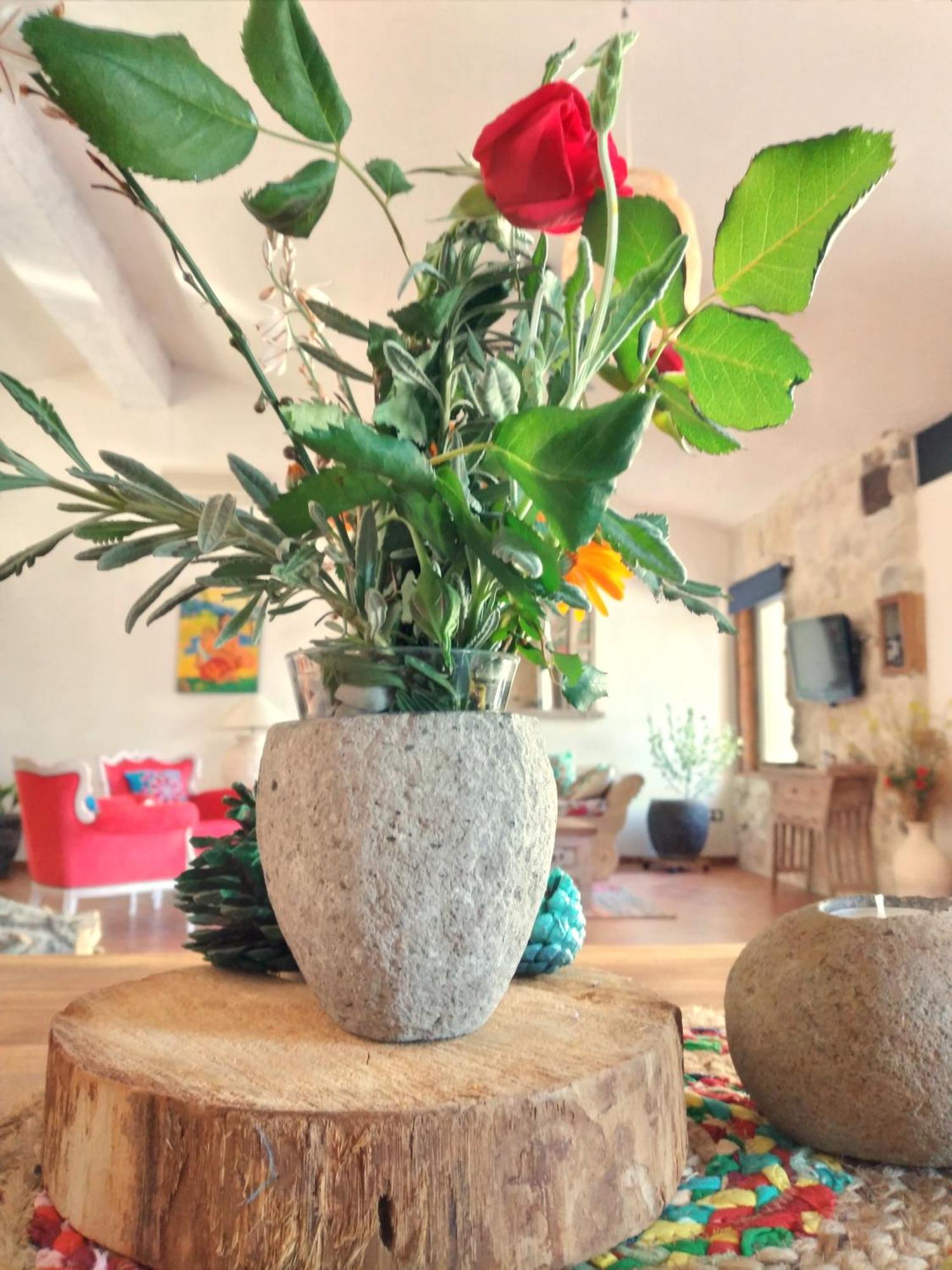 Loft Carriones Villa Castilléjar Exteriör bild